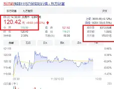 朱袁正(朱袁正 增持新洁能)